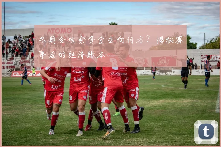 冬奥会结余资金去向何方?揭秘赛事后的经济账本